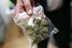 Arrestan a joven con marihuana en urbanización de Yabucoa