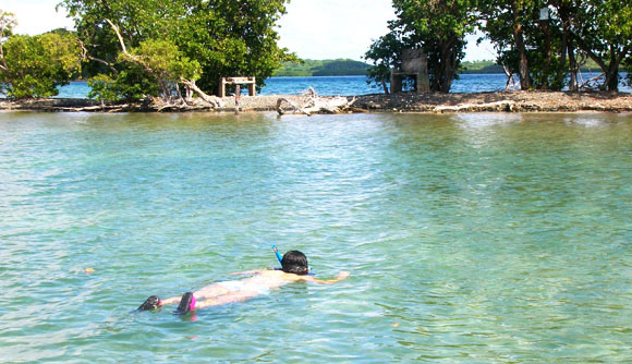 Proponen rehabilitación de Cayo Algodones para uso turístico