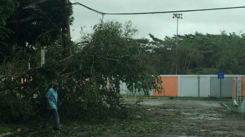 Irma asustó el área este