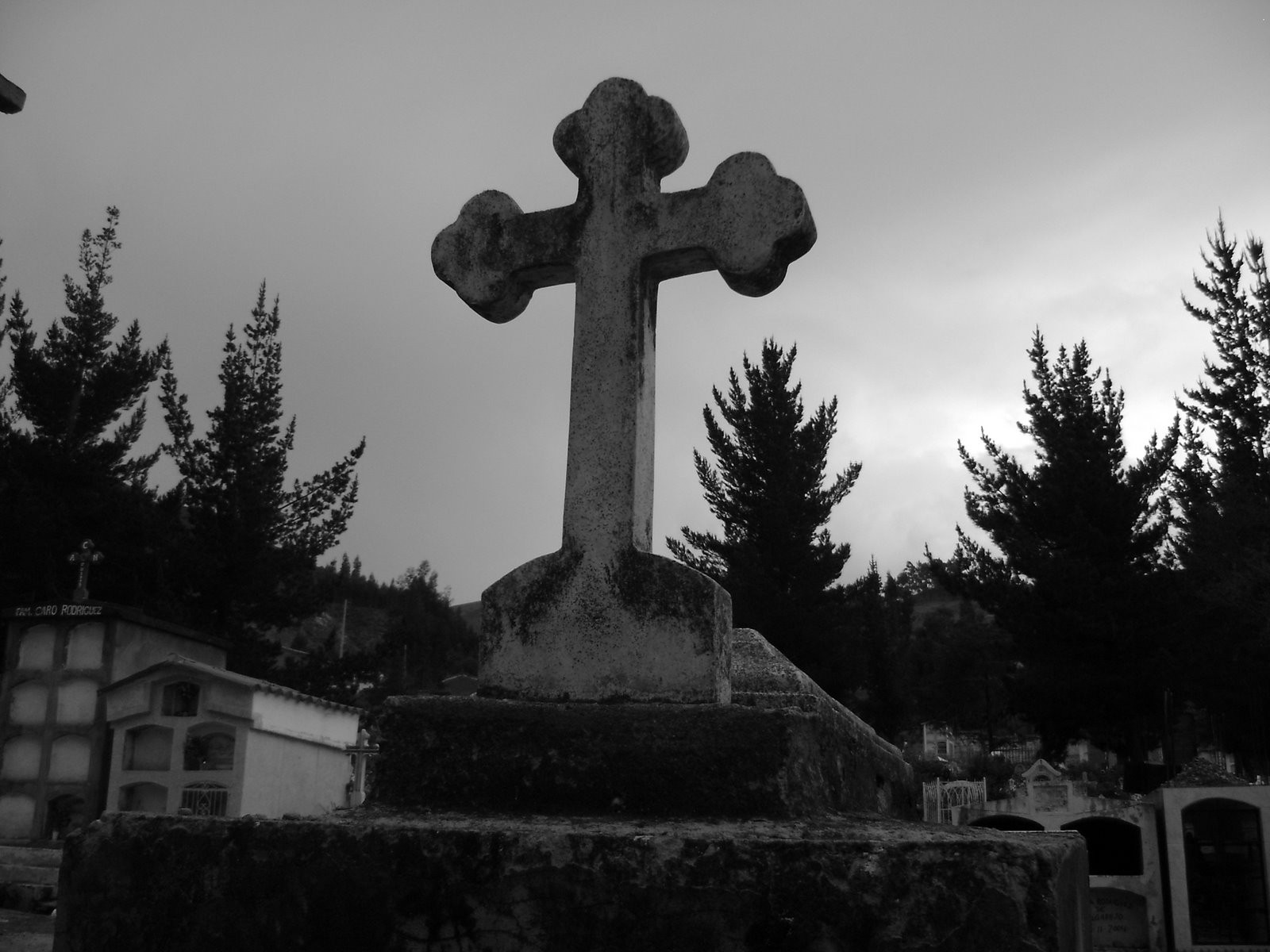 Se llevan consola de juegos electrónicos y otros equipos de cementerio de Humacao