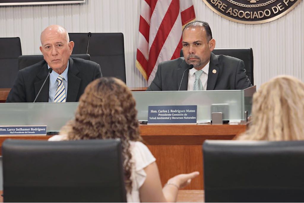 Director AEE se impone ante investigación de AES en el Senado