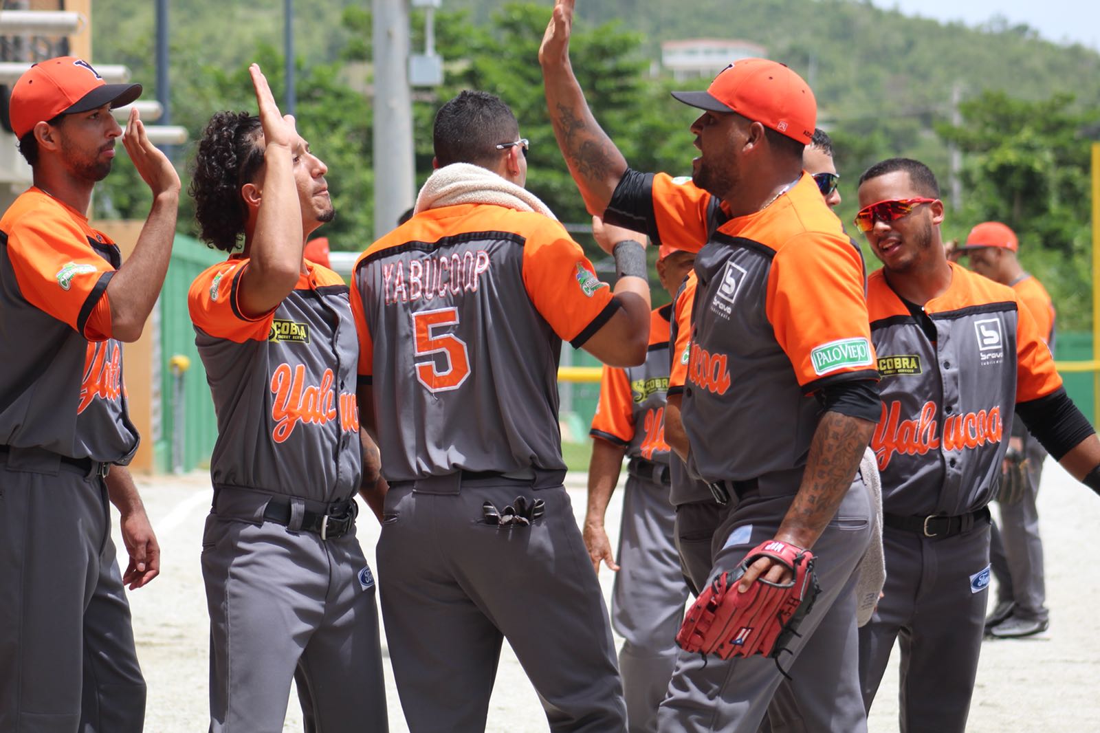 Cara a cara equipos del sureste en finales de Doble A