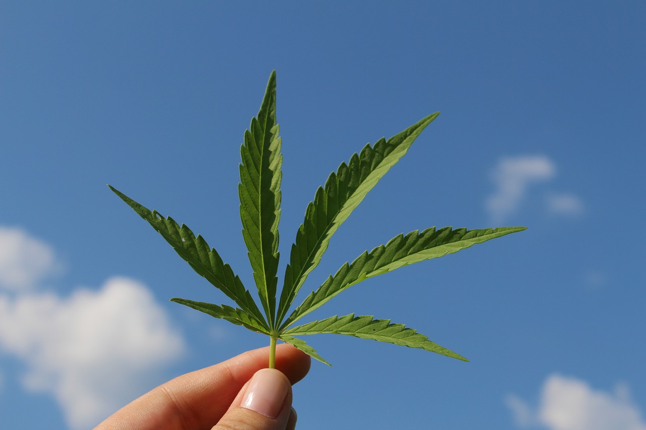 A romper el estigma sobre el uso del cannabis