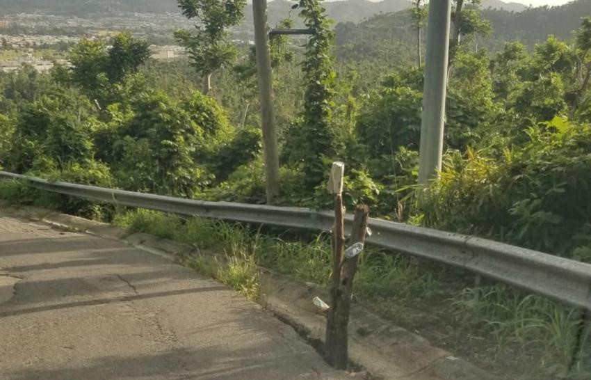 ‘De brazos caídos’ el gobierno central con la limpieza de áreas verdes en las vías estatales