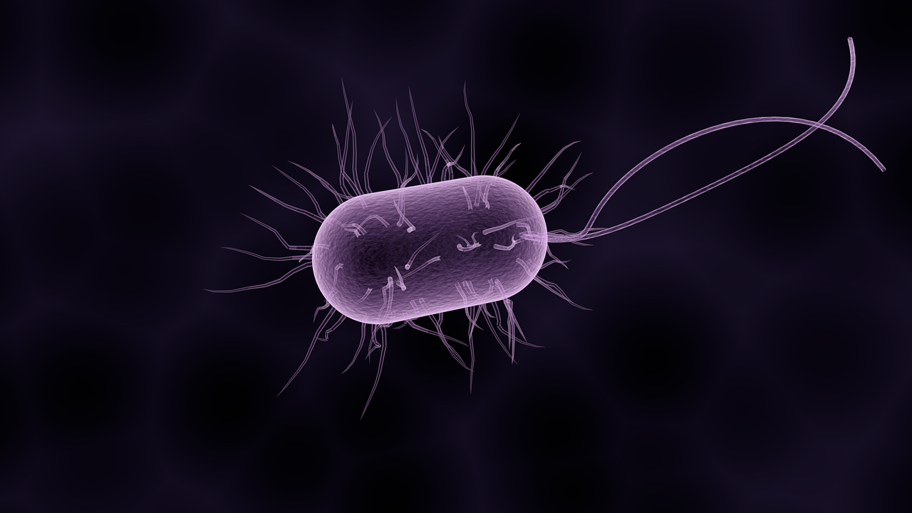 [AUDIO] Microbios marinos producen electricidad