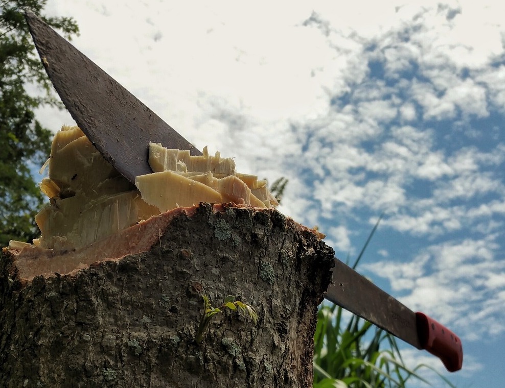 Preso por agresión a machetazos en el barrio Collores de Las Piedras