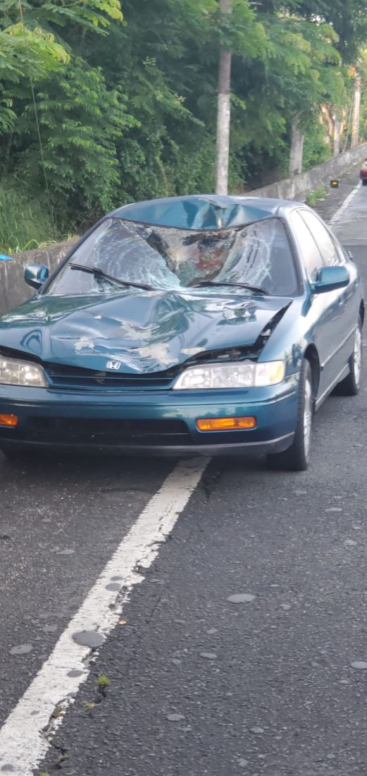 Ocupan vehículos tras arrollar peatón en autopista de la zona este
