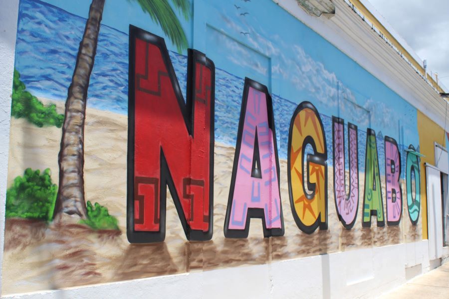 Comunidad de Cubuy en Naguabo celebra segunda reunión multisectorial