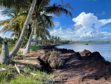 Residente de Camino Nuevo solicita remoción de sargazo en playa Lucía
