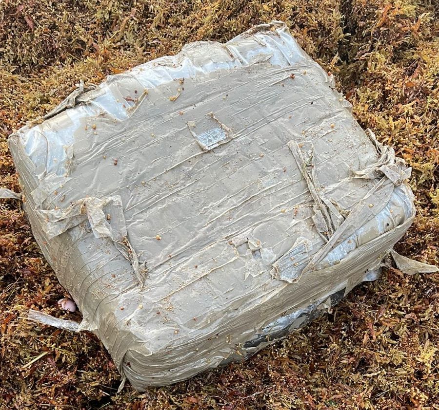 Hallan 64 bloques de marihuana en playa de Maunabo 