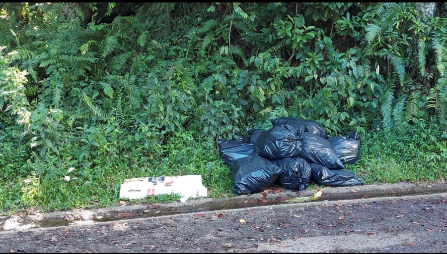 Supervisor del Yunque señala problema de basura y escombros