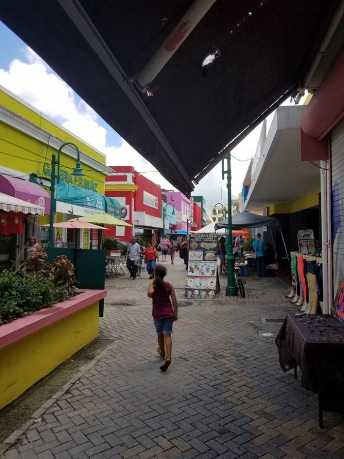 Hurtan mercancía valorada en $500 dólares