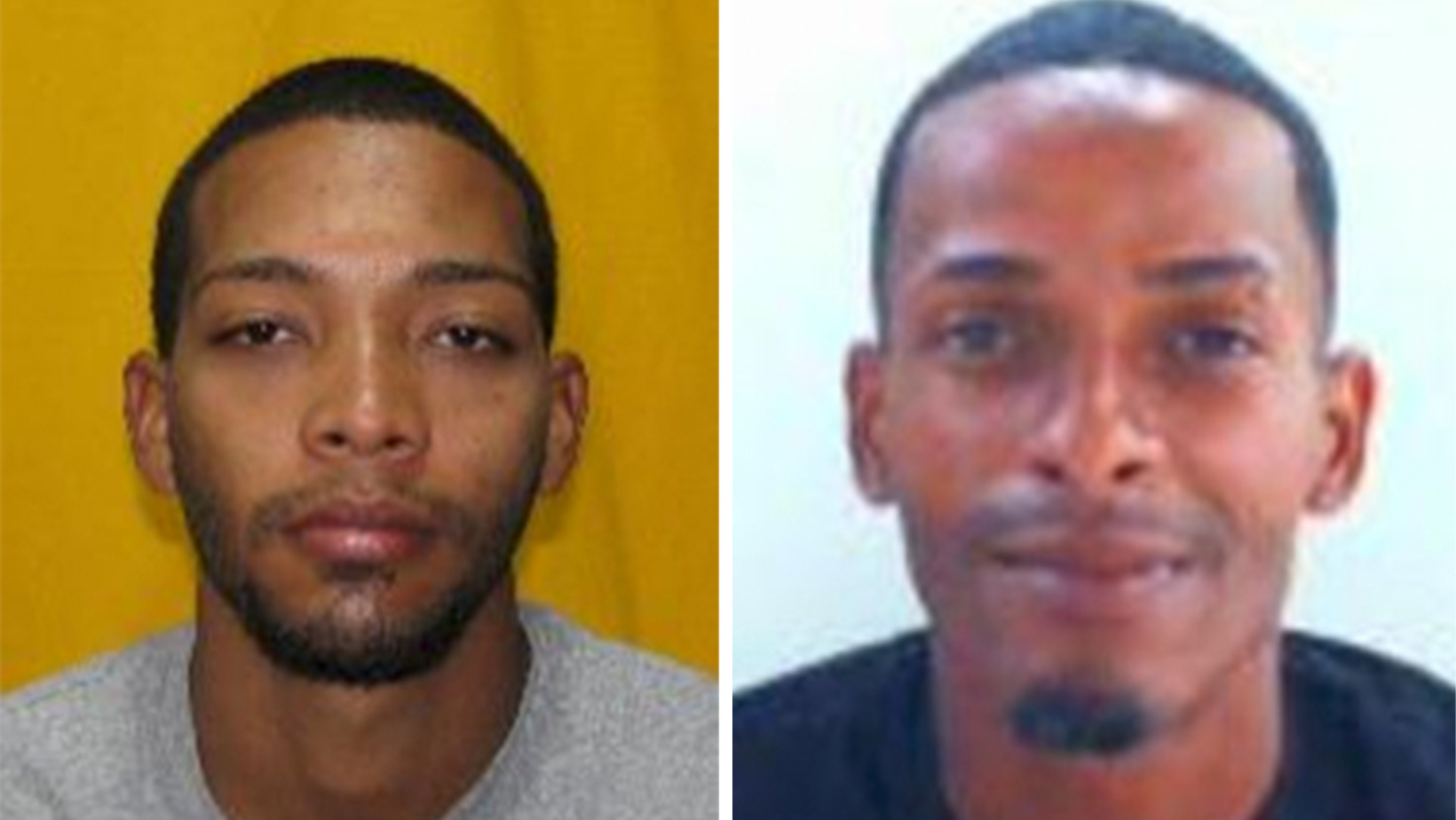 Dos integrantes de organización criminal en residencial en Fajardo continúan fugitivos