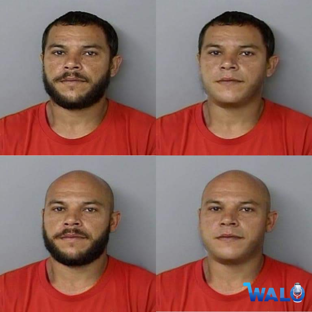Capturado Alexis Alicea en zona boscosa en Lajas