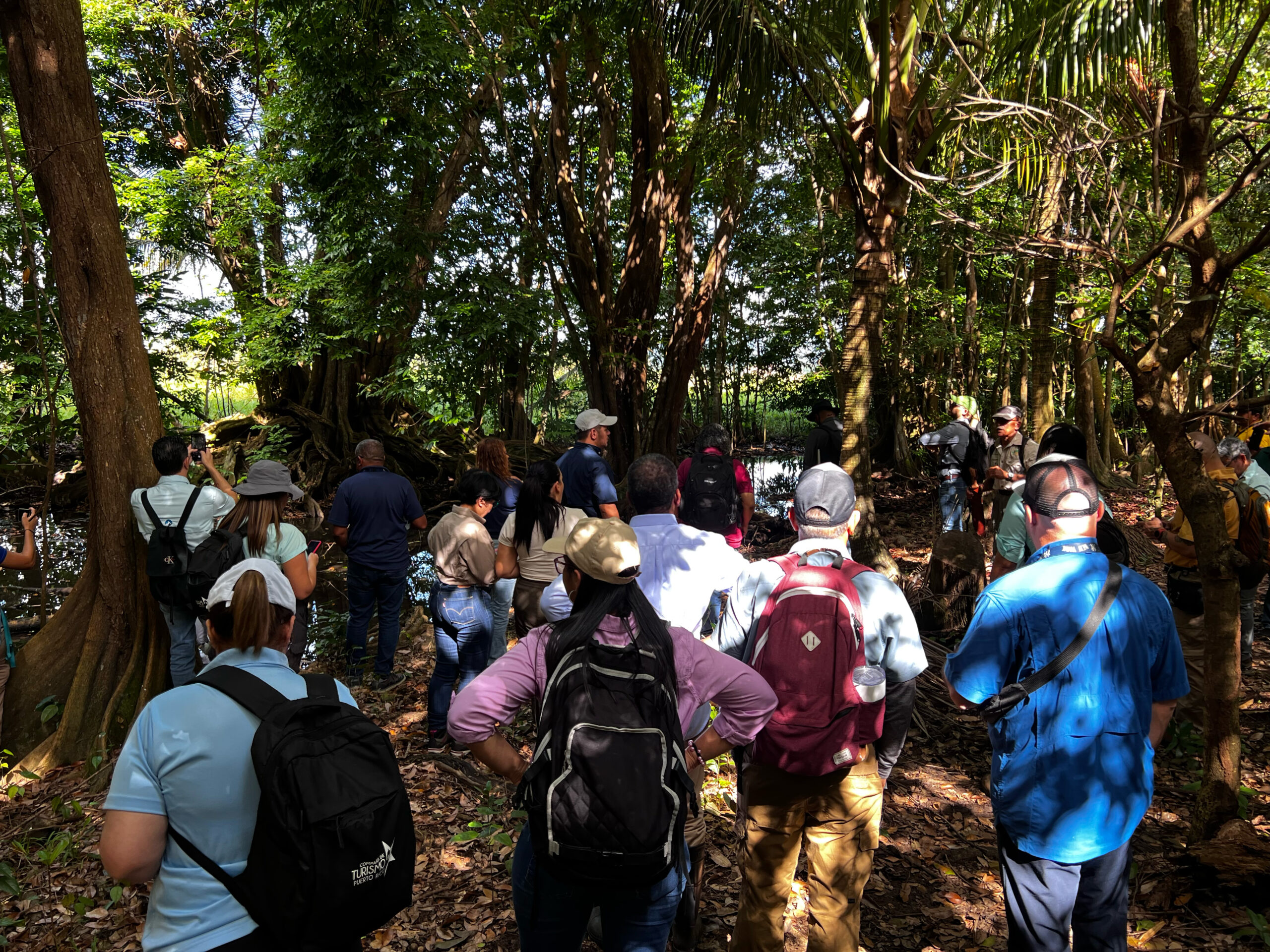 Agencias ambientales unen esfuerzos para preservar Reserva Natural de Yabucoa