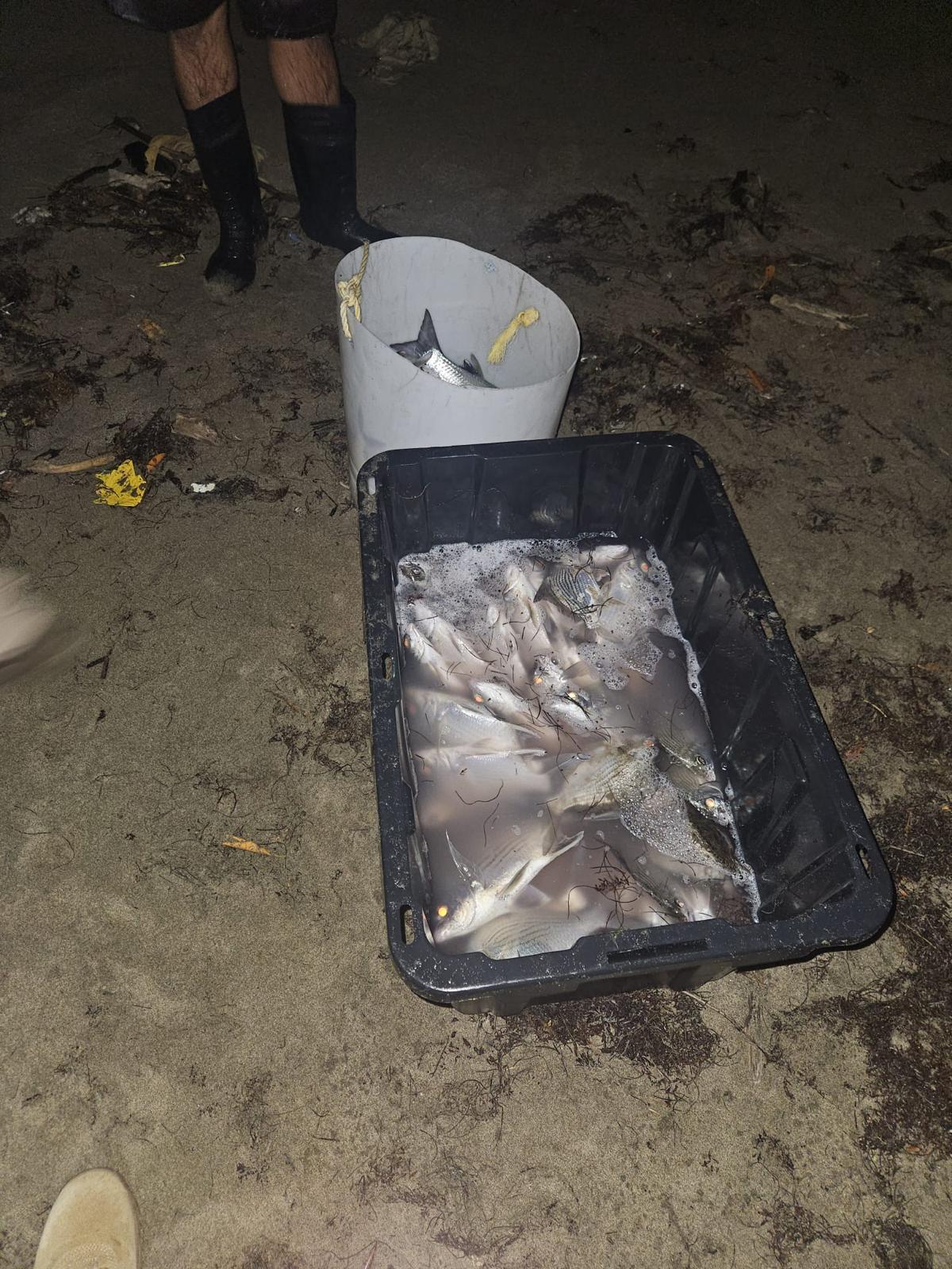 Recursos Naturales interviene con pesca ilegal en Humacao 