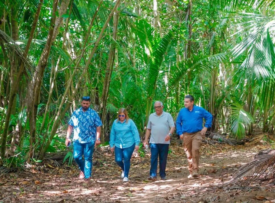 Senado aprueba medida para crear el destino turístico “Paraíso del Este”