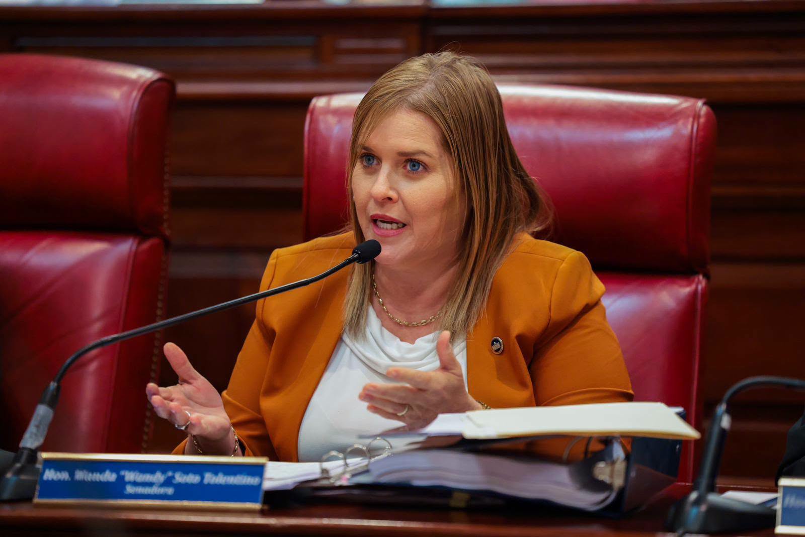 Anuncian vistas públicas para investigar centros de cuidado de larga duración