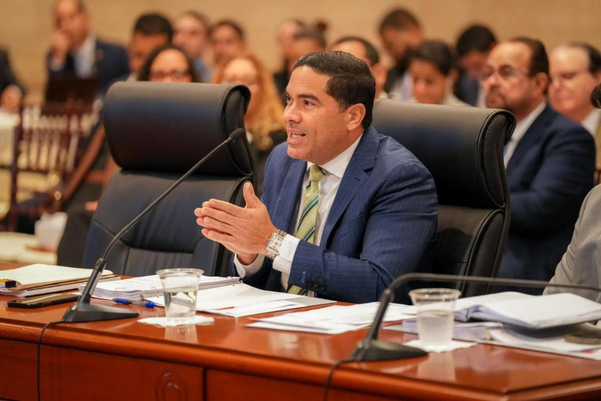 CEE presenta recomendaciones al Proyecto de enmiendas al Código Electoral